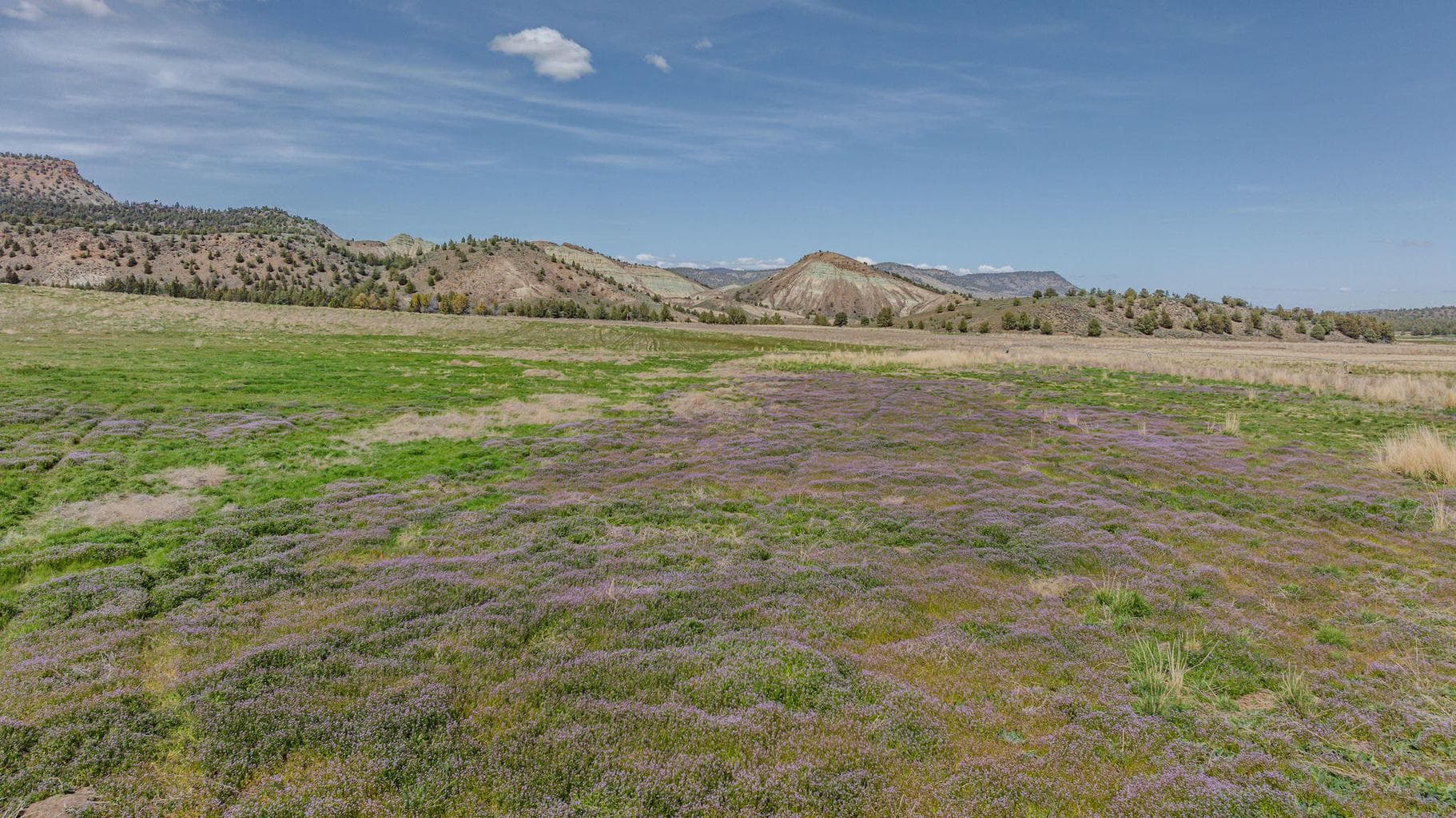 Photo of 41225 Van Lake Road 162 of 181