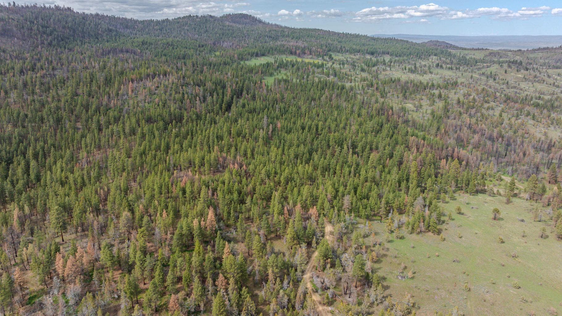 Photo of 41225 Van Lake Road 170 of 181