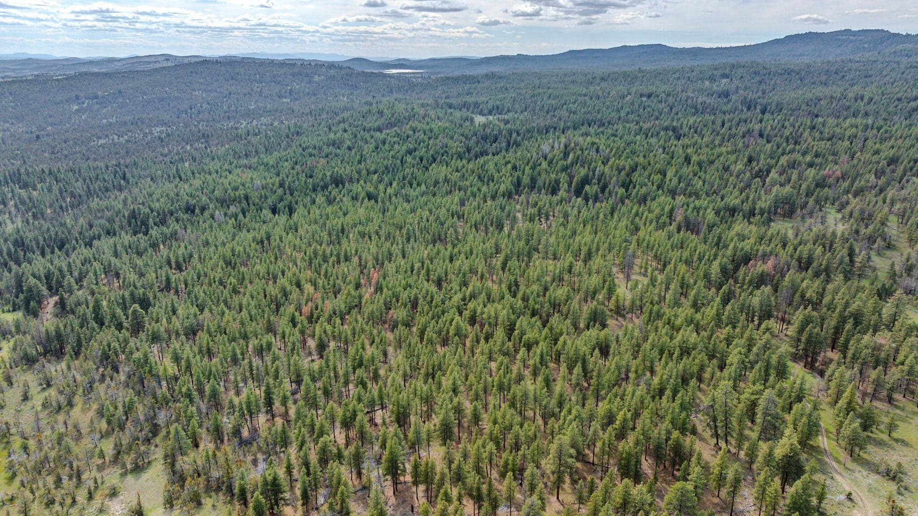 Photo of 41225 Van Lake Road 171 of 181