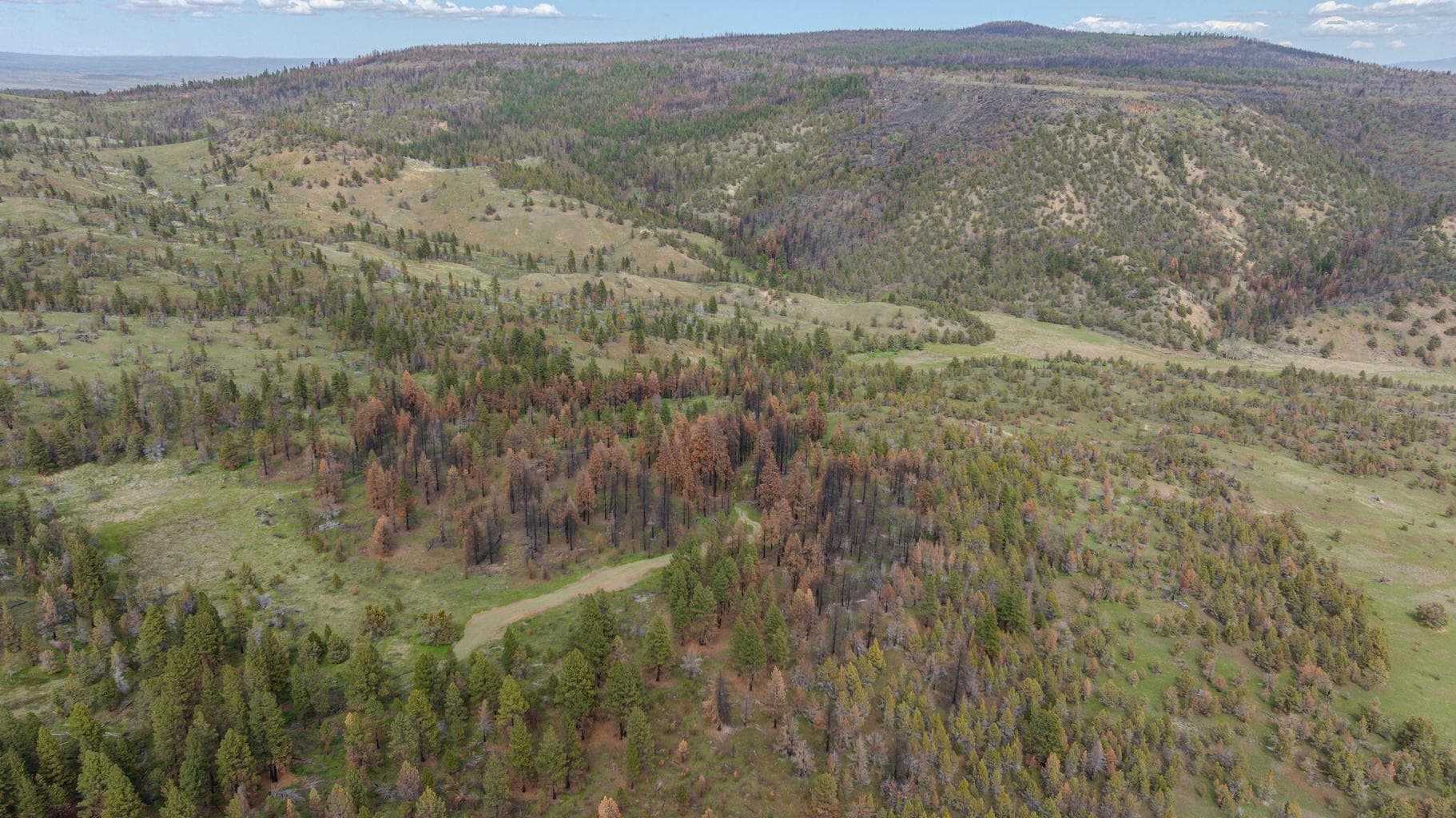 Photo of 41225 Van Lake Road 172 of 181