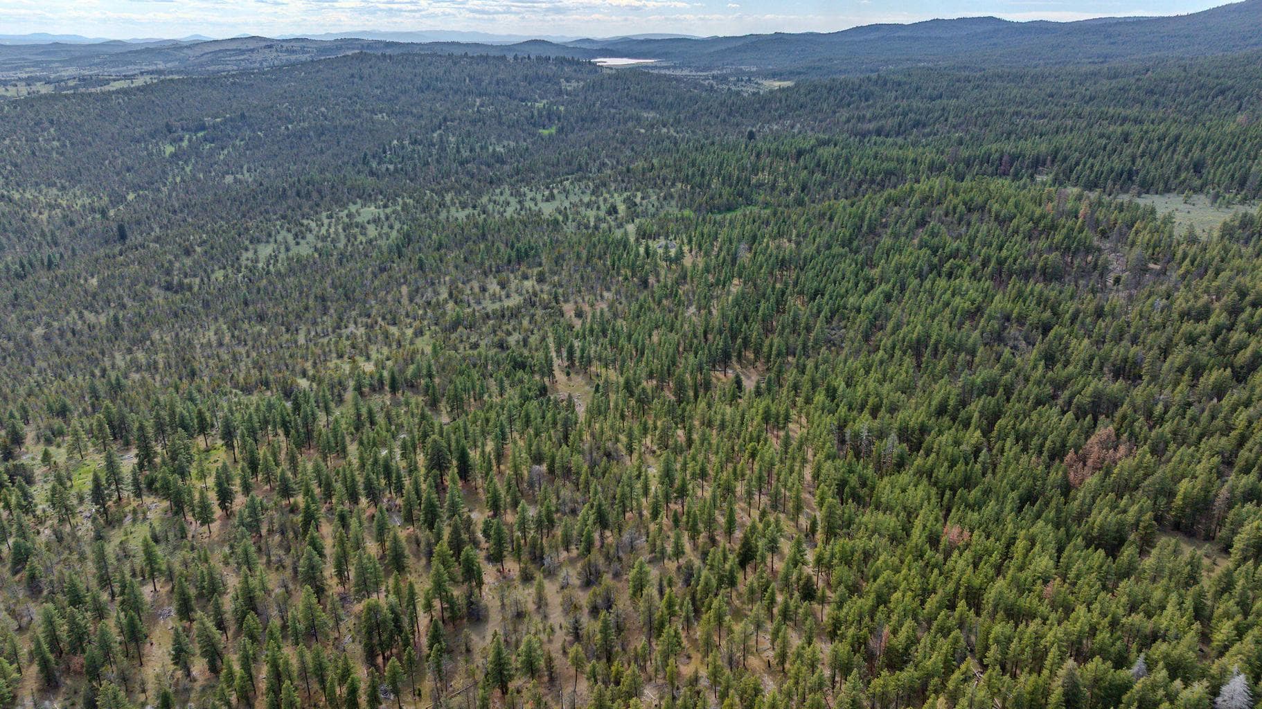 Photo of 41225 Van Lake Road 175 of 181