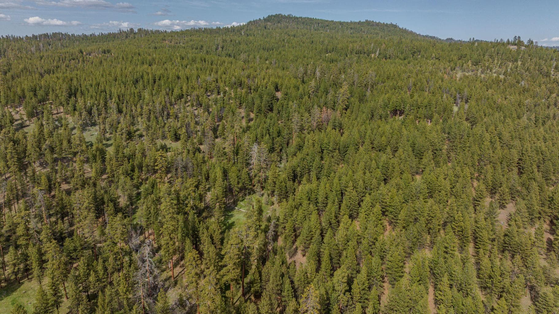 Photo of 41225 Van Lake Road 177 of 181