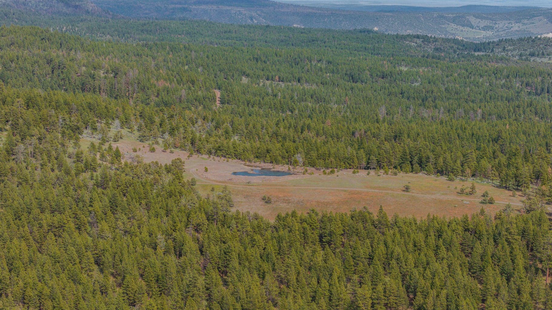 Photo of 41225 Van Lake Road 180 of 181