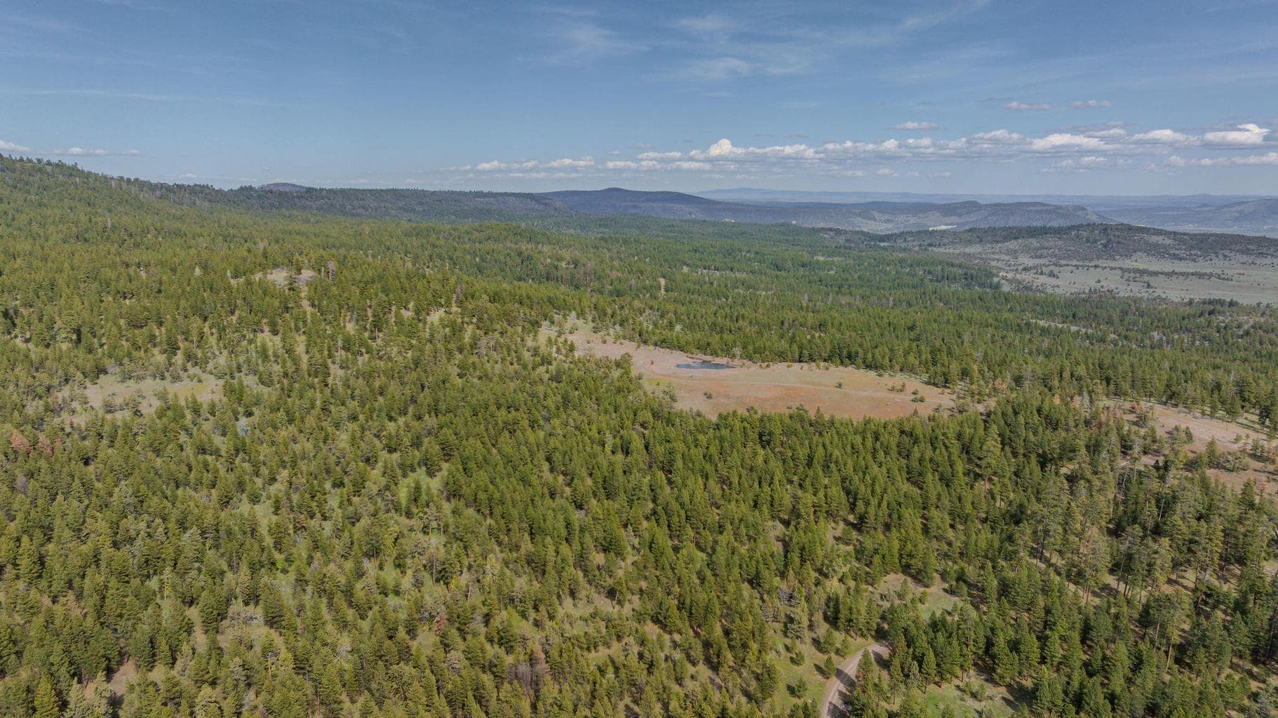 Photo of 41225 Van Lake Road 181 of 181