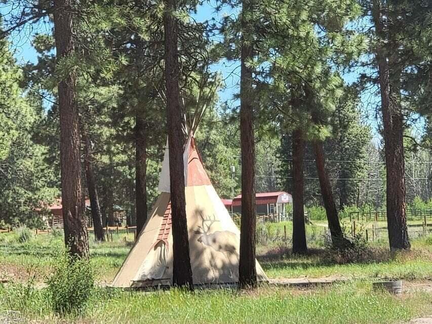 Photo of 0 Oregon 62 3 of 42