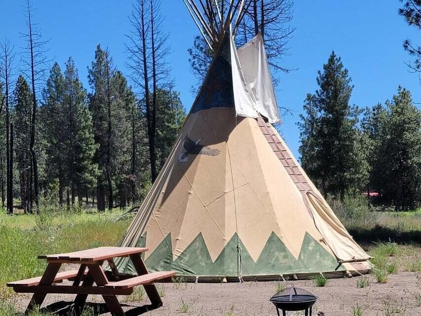 Photo of 0 Oregon 62 4 of 42