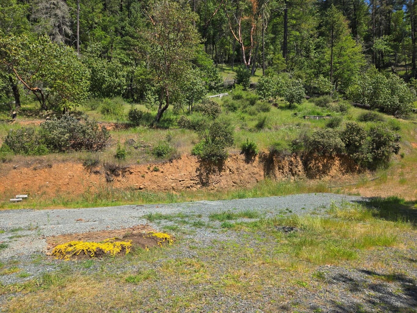 Photo of 6200 Lower Grave Creek 3 of 26