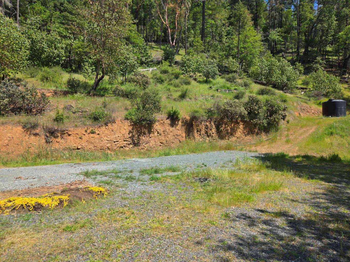Photo of 6200 Lower Grave Creek 4 of 26