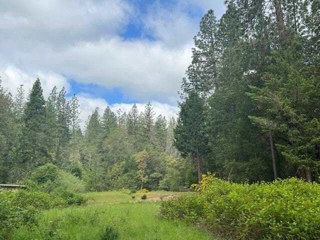 Photo of 4196 Evans Creek 3 of 39