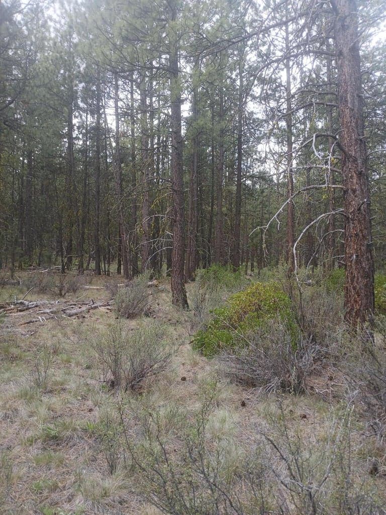 Photo of 0 Tableland 2 of 18