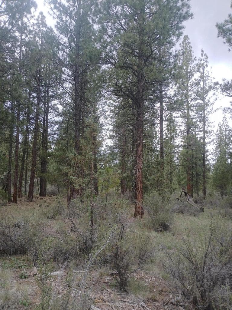 Photo of 0 Tableland 3 of 18