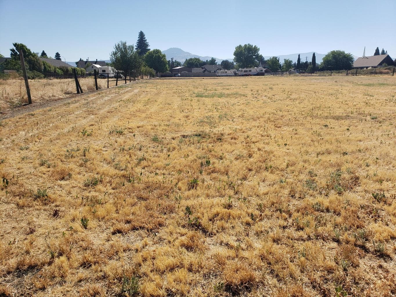Photo of 0 Chico 5 of 6