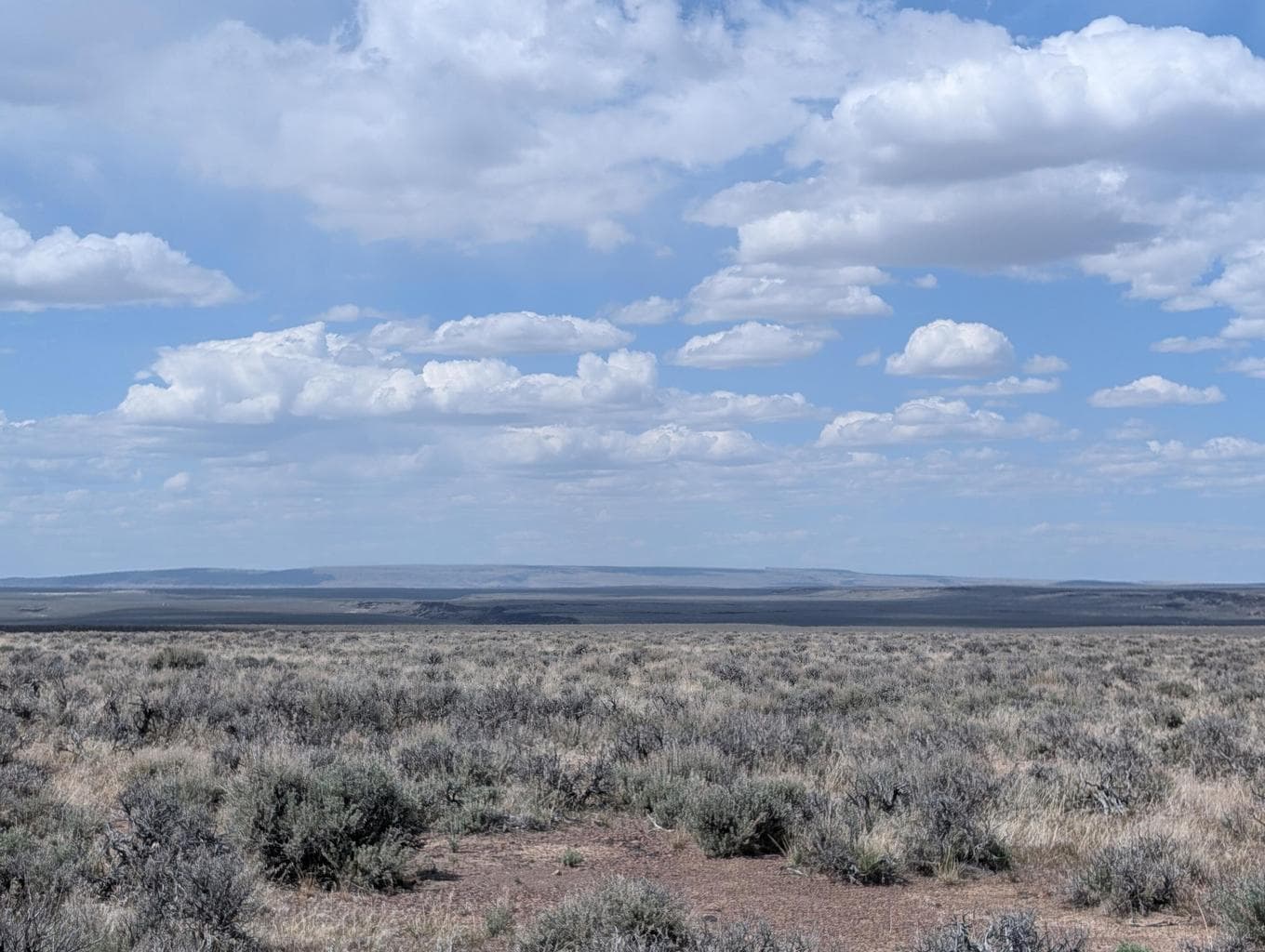 Photo of Black Canyon 1 of 10