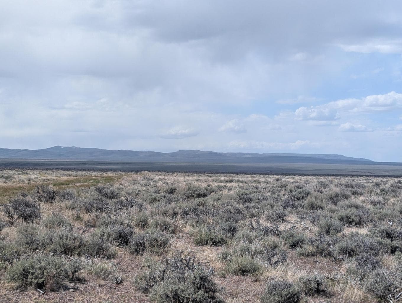 Photo of Black Canyon 2 of 10