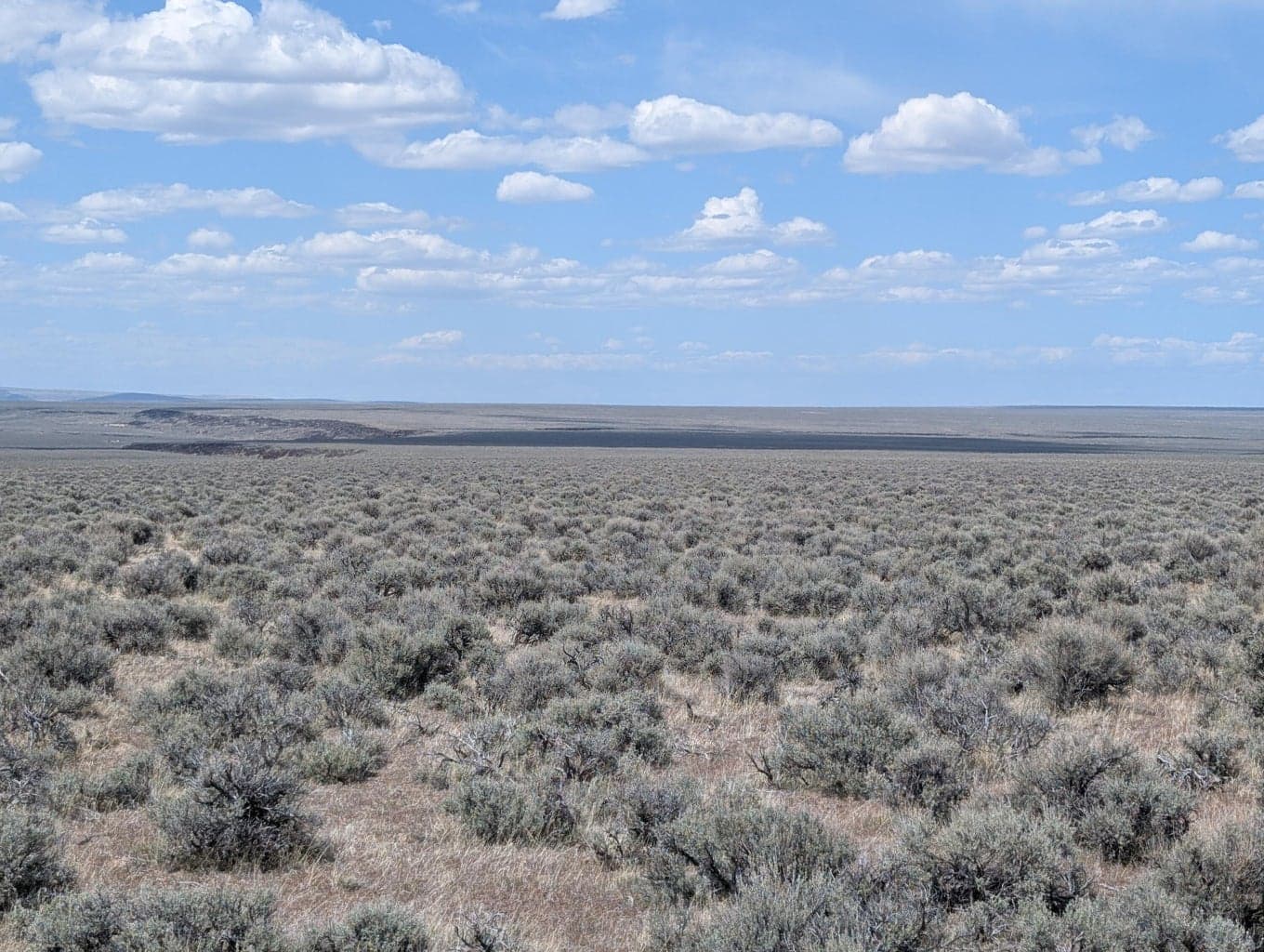 Photo of Black Canyon 3 of 10