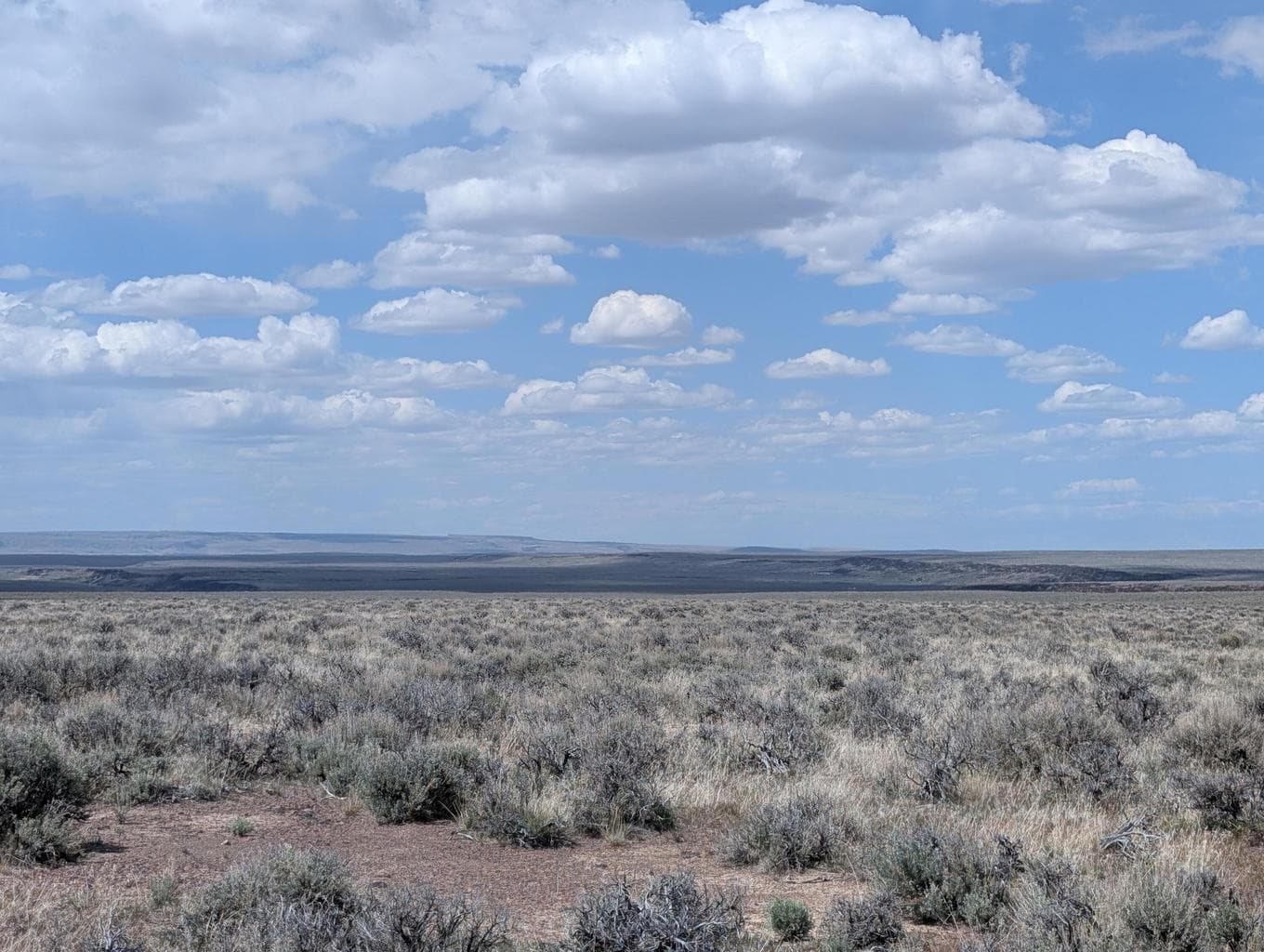 Photo of Black Canyon 4 of 10