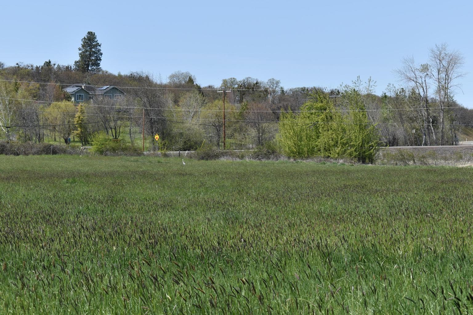 Photo of 0 Old Highway 99 5 of 15