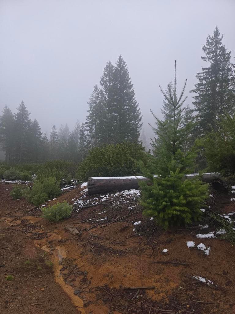 Photo of Upper Joe Creek 3 of 33