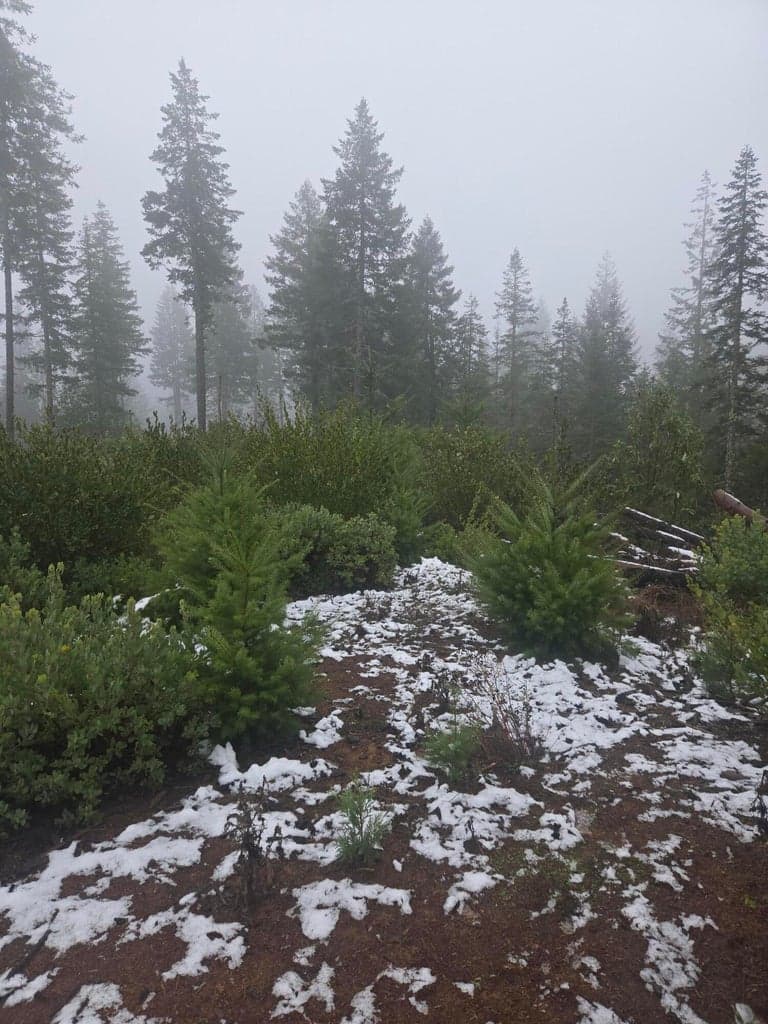 Photo of Upper Joe Creek 4 of 33