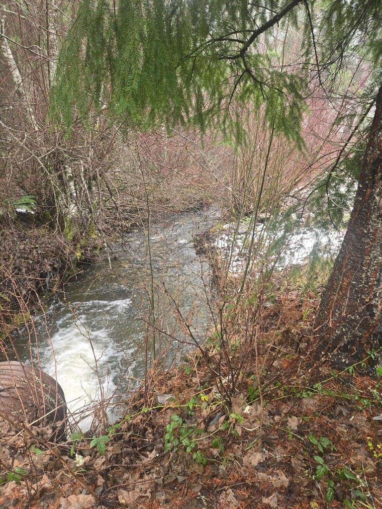 Photo of Upper Joe Creek 5 of 33