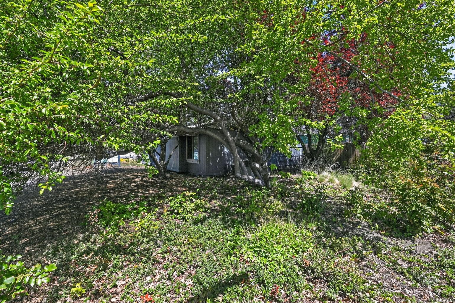Photo of 1720 NE 4th Street 32 of 37