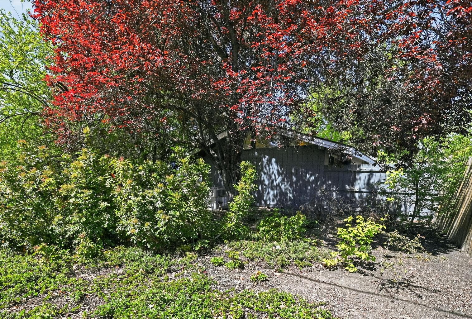 Photo of 1720 NE 4th Street 31 of 37