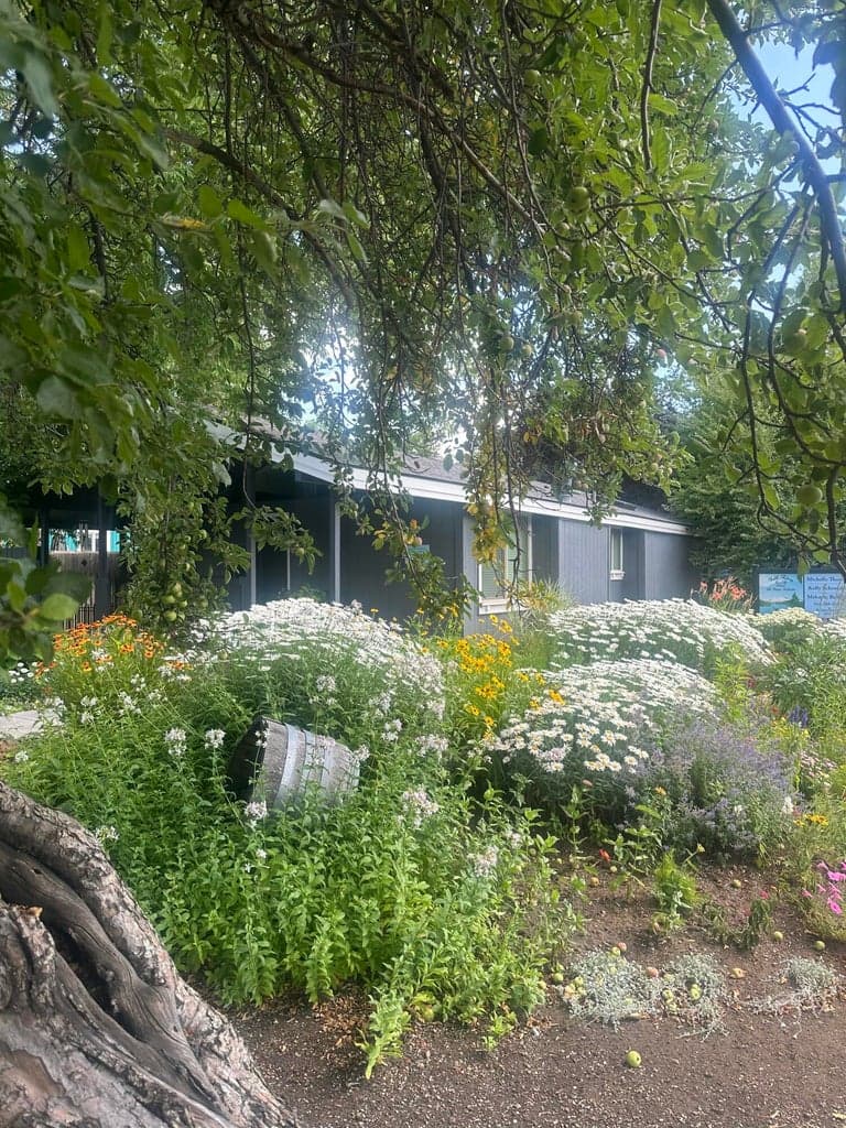 Photo of 1720 NE 4th Street 6 of 37