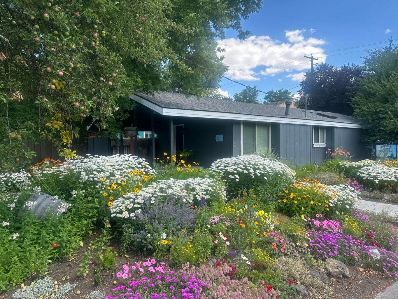 Photo of 1720 4th Street 2 of 37