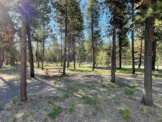 Photo of 17118 Jacinto Road 18 of 35
