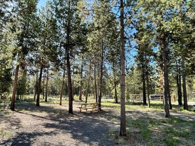 Photo of 17118 Jacinto Road 20 of 35