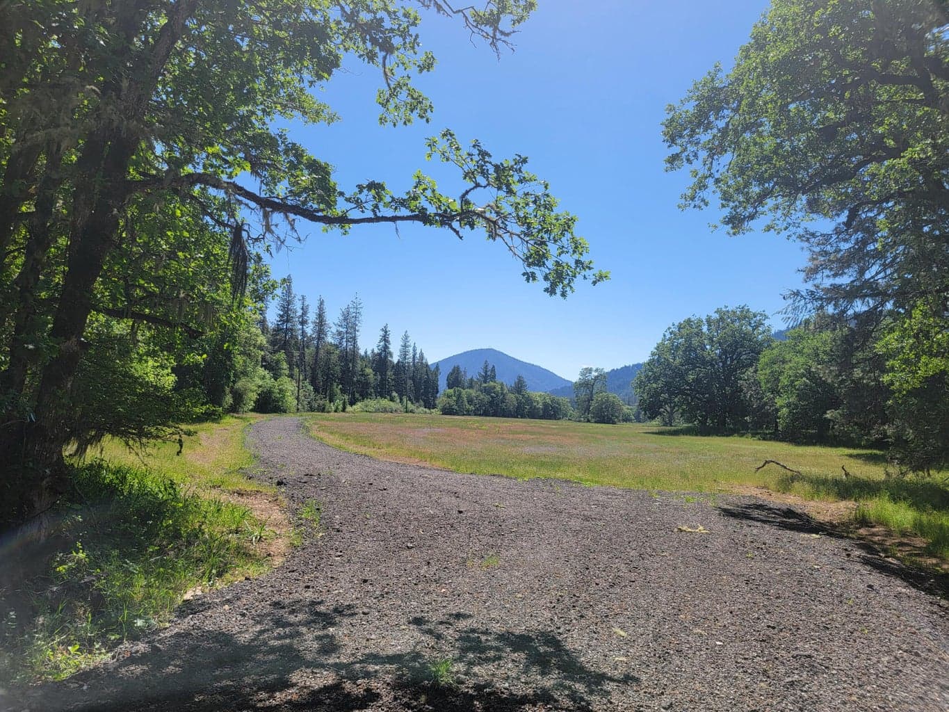 Territorial view of 8$ mountain from south portion of tax lot 211