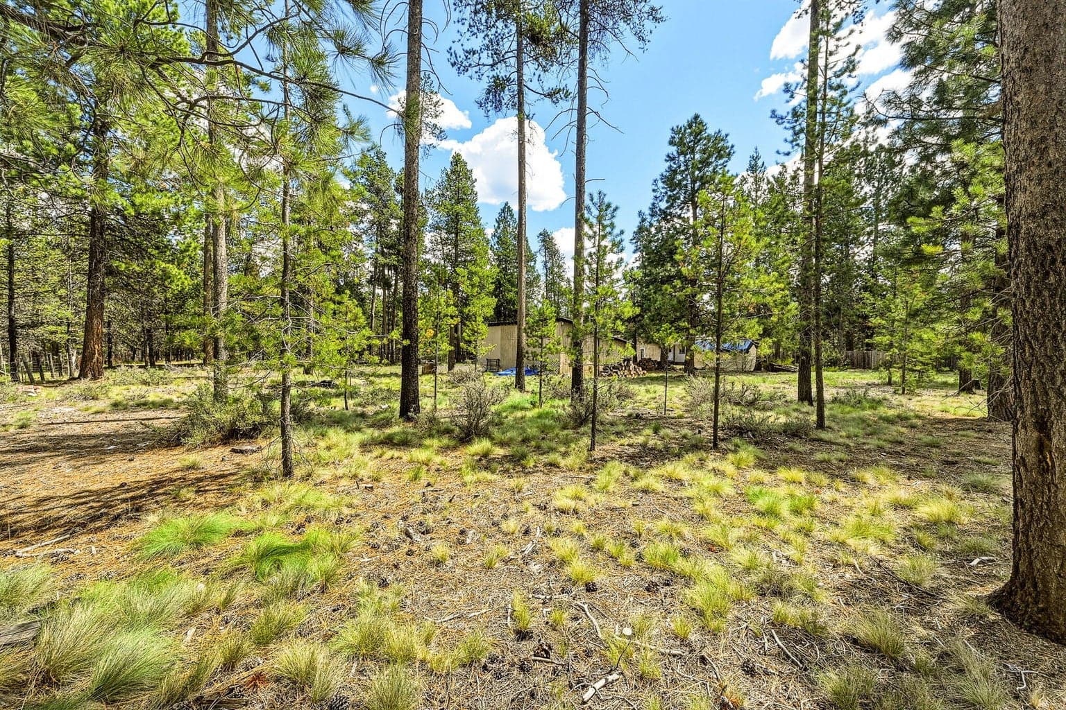 Photo of 16050 Elderberry Lane 38 of 38