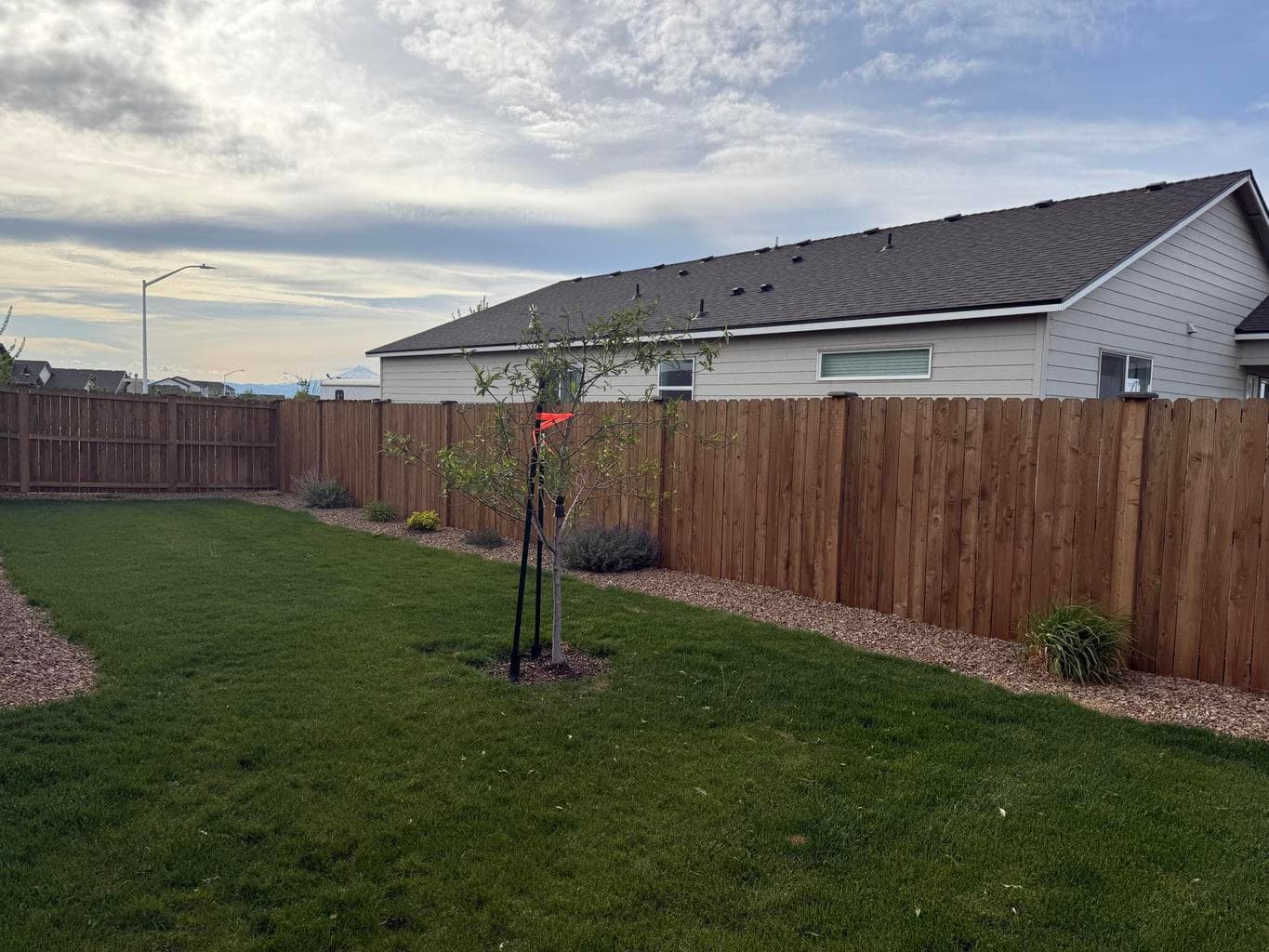 Landscaped back yard