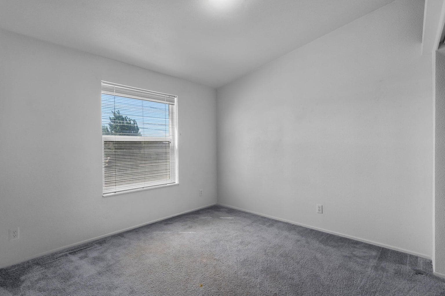 Photo of 397 SE 6th Street 12 of 32