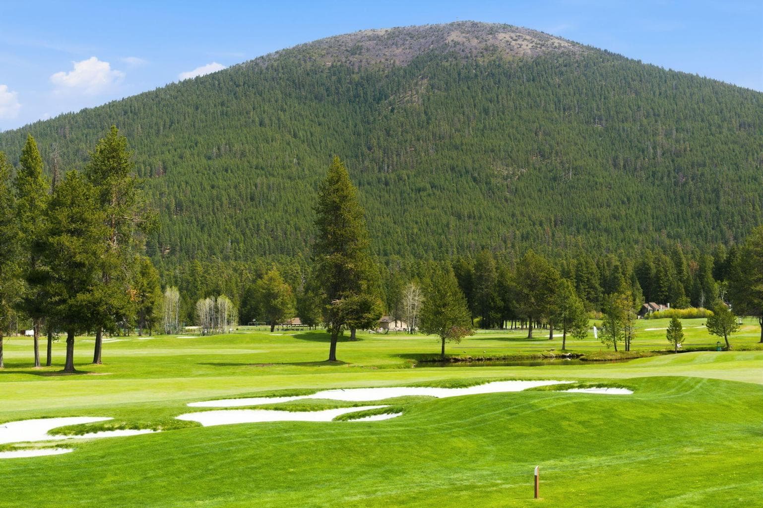 Black Butte View