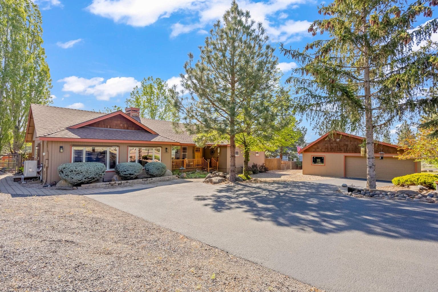Photo of 70064 Appaloosa 2 of 46