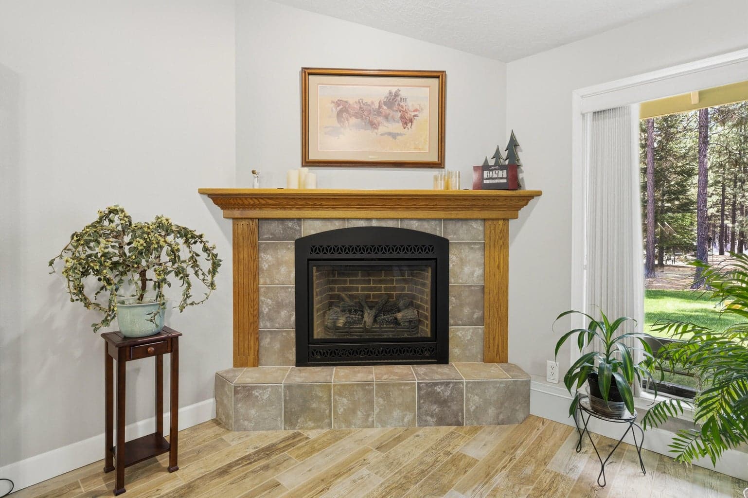 Photo of 51730 Pine Loop 3 of 51