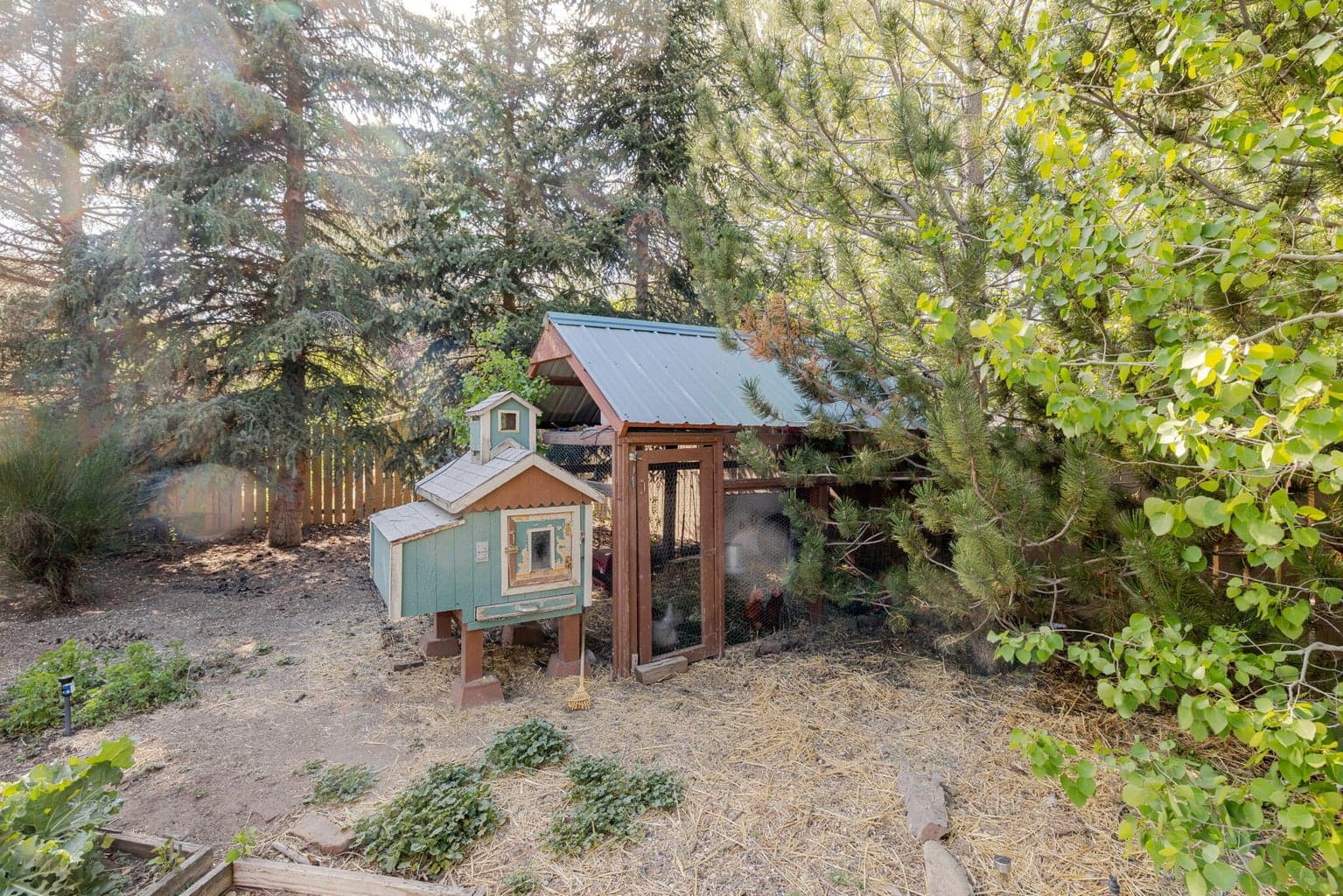 Photo of 20570 Whitehaven Lane 54 of 80