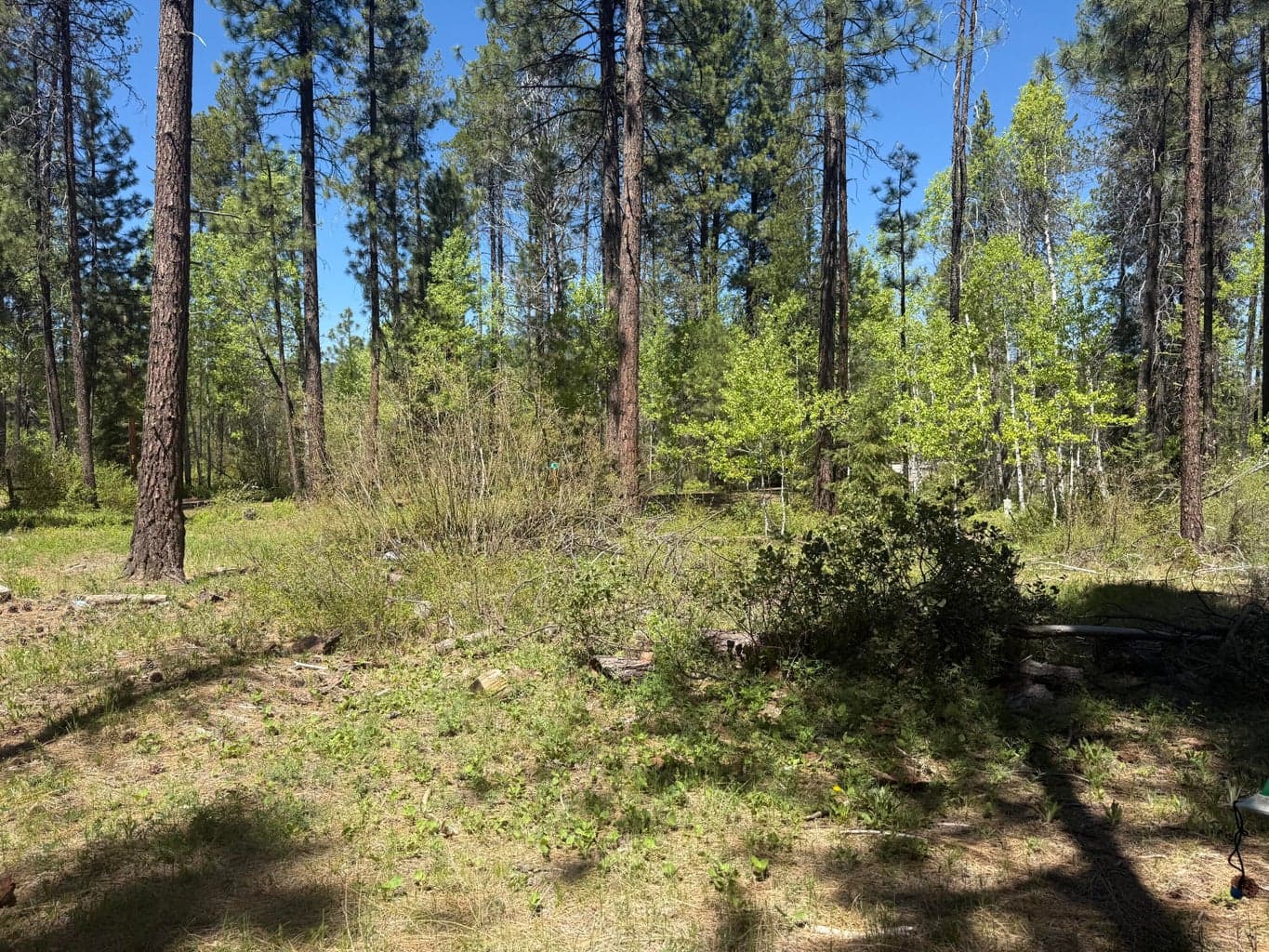 Photo of 0 N 3 of 5