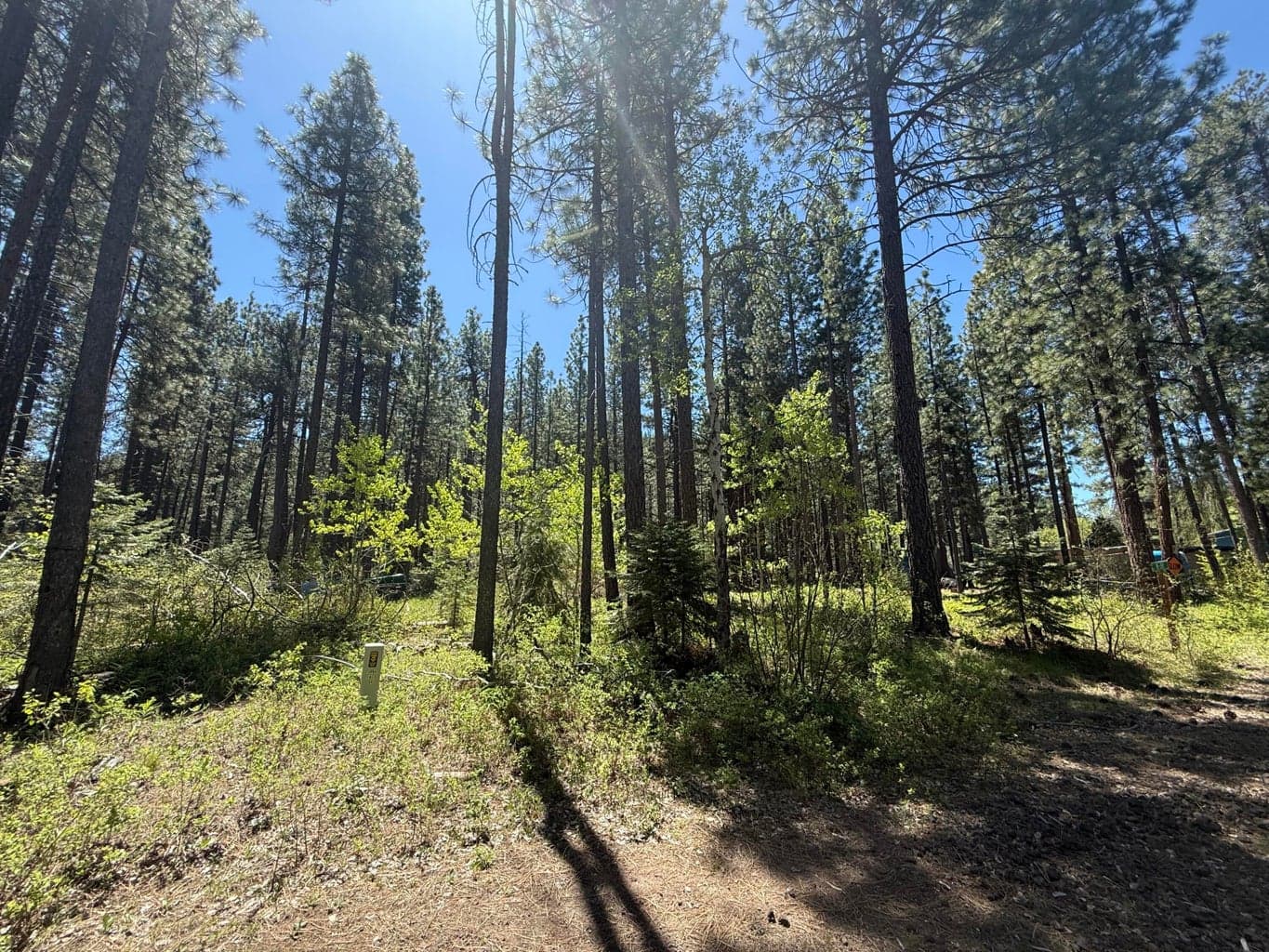 Photo of 0 N 4 of 5
