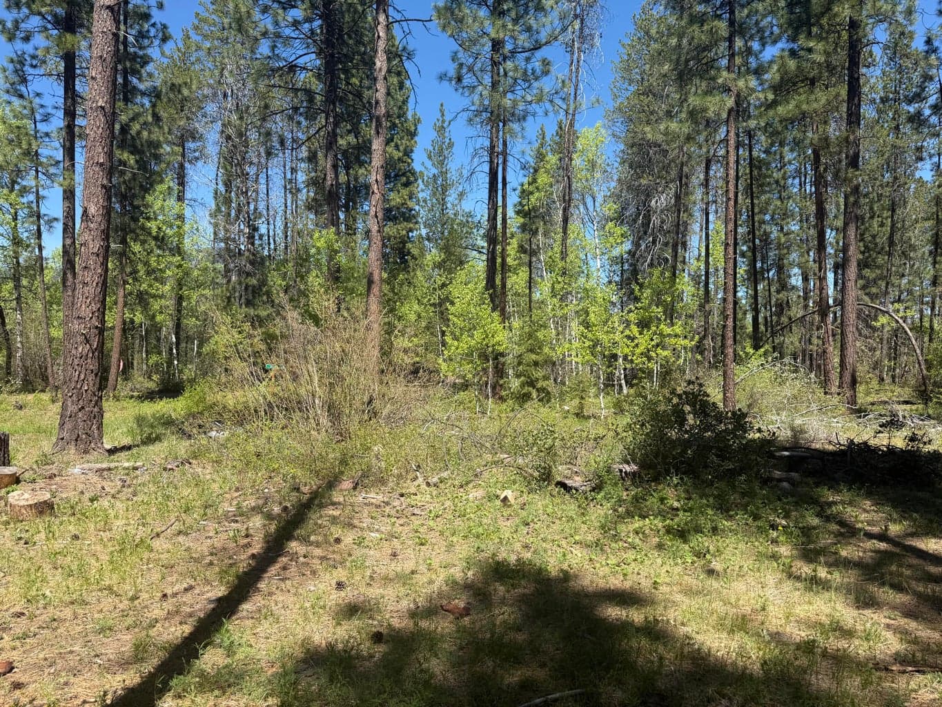 Photo of 0 N 5 of 5