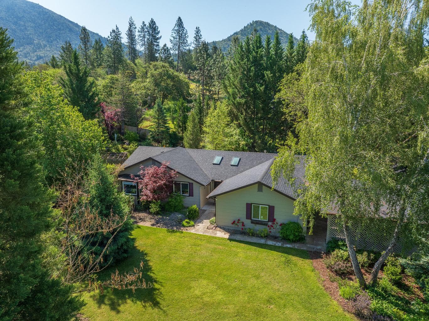 345 Ponderosa