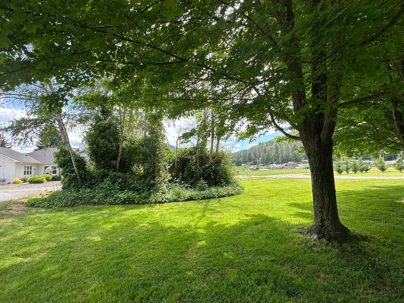 Photo of 753 Evans Creek 2 of 41