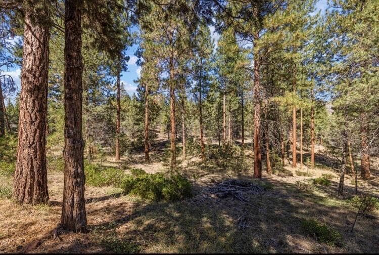Photo of 0 Simpson Canyon 3 of 20