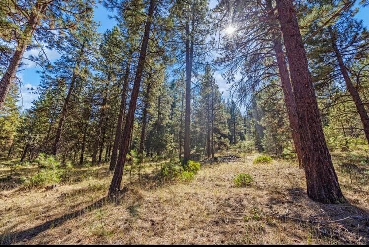 Photo of 0 Simpson Canyon 2 of 20