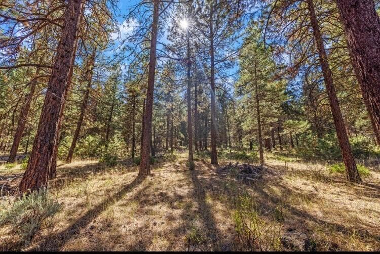 0 Simpson Canyon