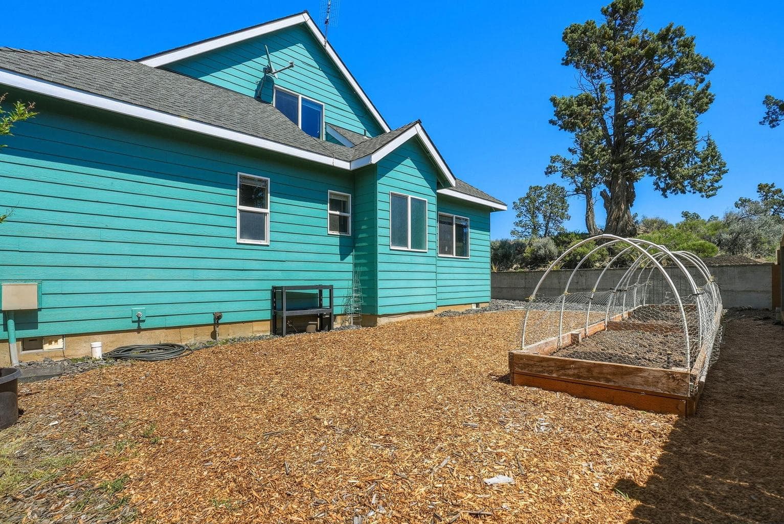 Side yard with garden beds