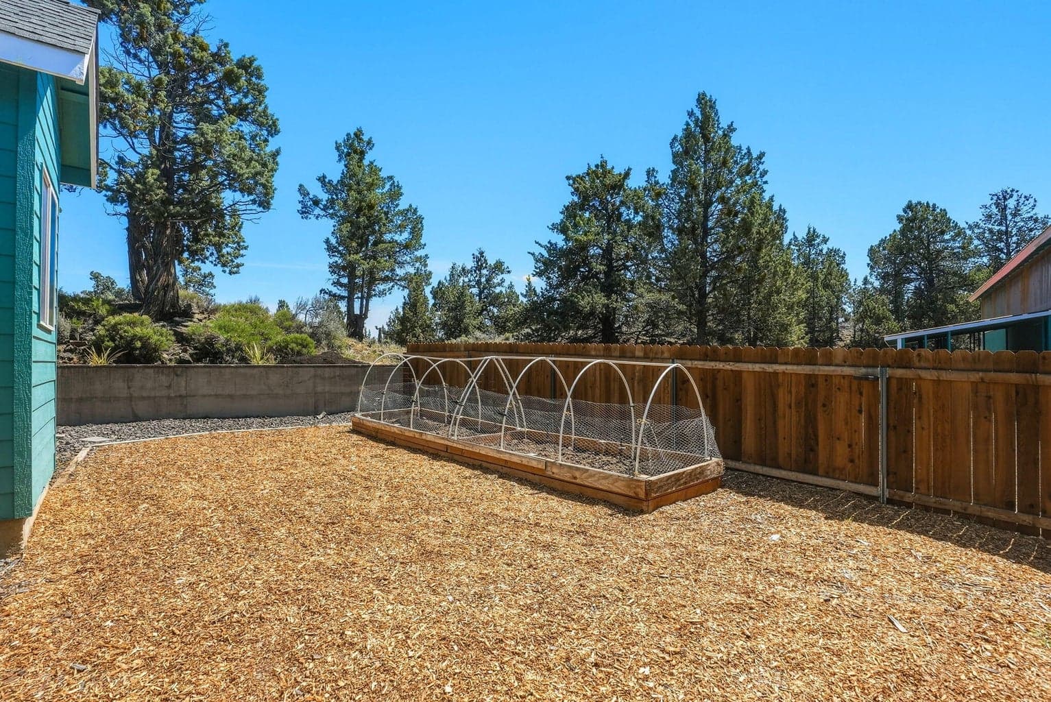 Side yard with garden beds