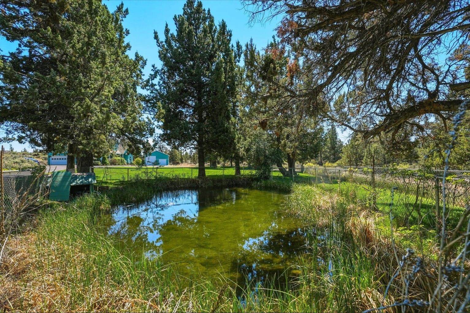 Pond
