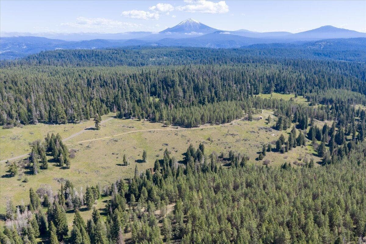 Photo of 13889 Dead Indian Memorial 4 of 29